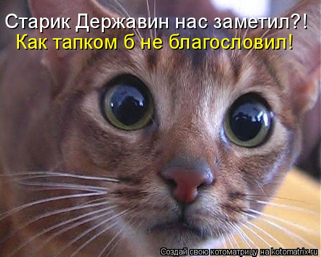 Старик Державин нас заметил?! Как тапком б не благословил!... Котоматрица: Старик Державин нас заметил?! Как тапком б не благословил!