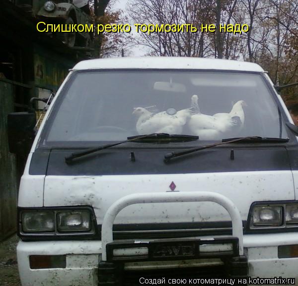 Слишком резко тормозить не надо... Котоматрица: Слишком резко тормозить не надо