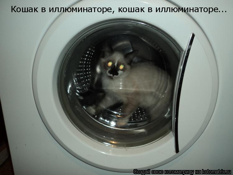 Кошак в иллюминаторе, кошак в иллюминаторе...... Котоматрица: Кошак в иллюминаторе, кошак в иллюминаторе...