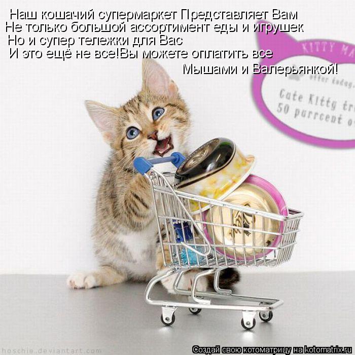 Котоматрица: Наш кошачий супермаркет Представляет Вам Не только большой ассортимент еды и игрушек Но и супер тележки для Вас И это ещё не все!Вы можете о