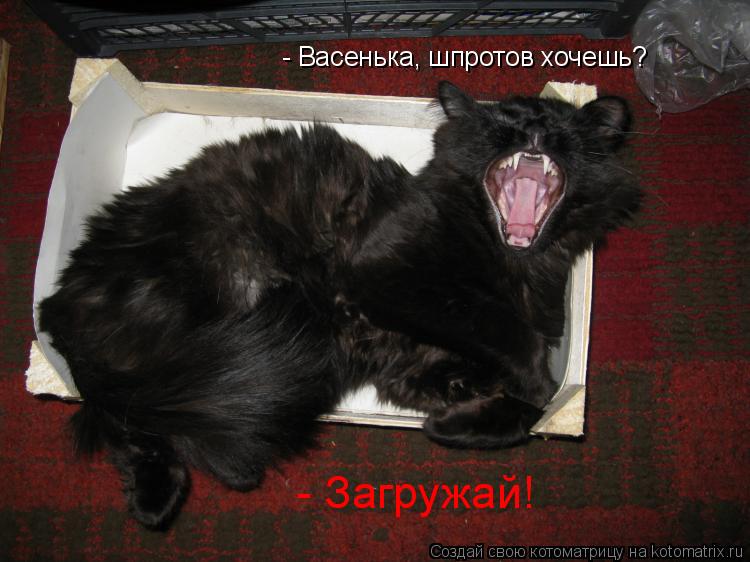- Васенька, шпротов хочешь? - Загружай!... Котоматрица: - Васенька, шпротов хочешь? - Загружай!