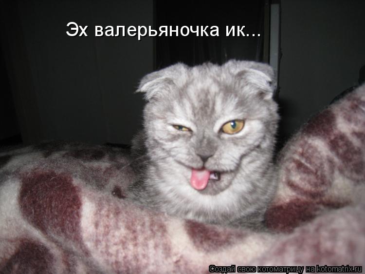Эх валерьяночка ик...... Котоматрица: Эх валерьяночка ик...