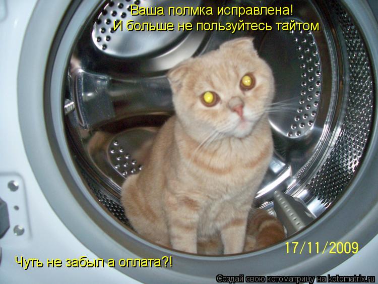 Ваша полмка исправлена! И больше не пользуйтесь тайтом Чуть не забыл а оплата?!... Котоматрица: Ваша полмка исправлена! И больше не пользуйтесь тайтом Чуть не забыл а оплата?!