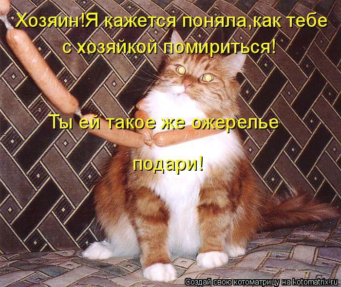 Хозяин!Я кажется поняла,как тебе с хозяйкой помириться! Ты ей такое же ожерелье подари!... Котоматрица: Хозяин!Я кажется поняла,как тебе с хозяйкой помириться! Ты ей такое же ожерелье подари!