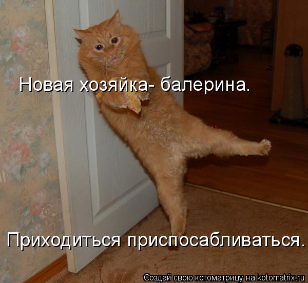 Новая хозяйка- балерина. Приходиться приспосабливаться.... Котоматрица: Новая хозяйка- балерина. Приходиться приспосабливаться.