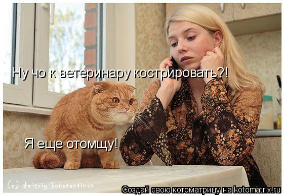 Ну чо к ветеринару кострировать?! Я еще отомщу!... Котоматрица: Ну чо к ветеринару кострировать?! Я еще отомщу!