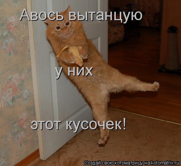 Авось вытанцую у них этот кусочек!... Котоматрица: Авось вытанцую у них этот кусочек!
