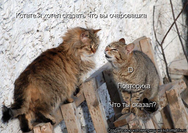 Кстате я хотел сказать что вы очаровашка :D Повториха Что ты сказал?... Котоматрица: Кстате я хотел сказать что вы очаровашка :D Повториха Что ты сказал?