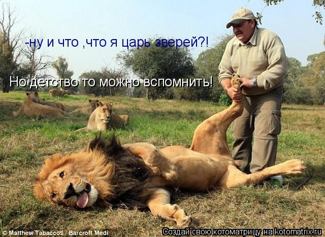-ну и что ,что я царь зверей?! Но детство то можно вспомнить!... Котоматрица: -ну и что ,что я царь зверей?! Но детство то можно вспомнить!