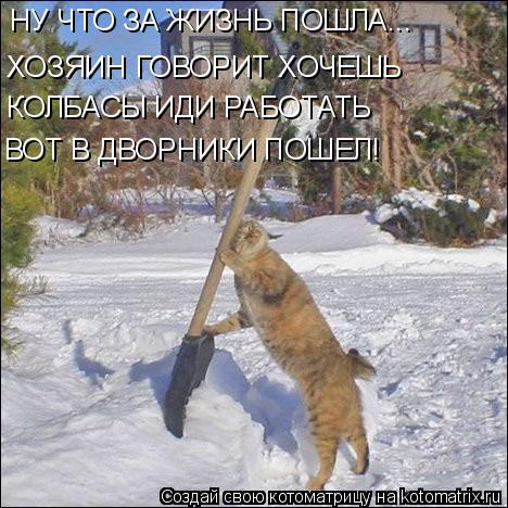 НУ ЧТО ЗА ЖИЗНЬ ПОШЛА... ХОЗЯИН ГОВОРИТ ХОЧЕШЬ КОЛБАСЫ ИДИ РАБОТАТЬ ВОТ В ДВОРНИКИ ПОШЕЛ!... Котоматрица: НУ ЧТО ЗА ЖИЗНЬ ПОШЛА... ХОЗЯИН ГОВОРИТ ХОЧЕШЬ КОЛБАСЫ ИДИ РАБОТАТЬ ВОТ В ДВОРНИКИ ПОШЕЛ!