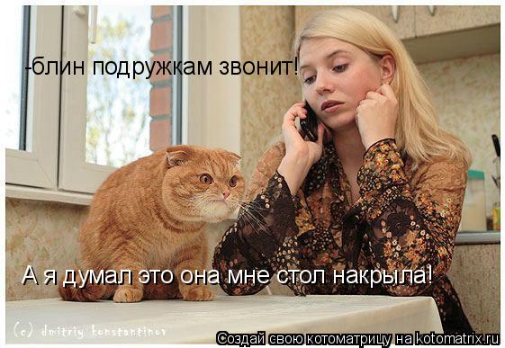 -блин подружкам звонит! А я думал это она мне стол накрыла!... Котоматрица: -блин подружкам звонит! А я думал это она мне стол накрыла!