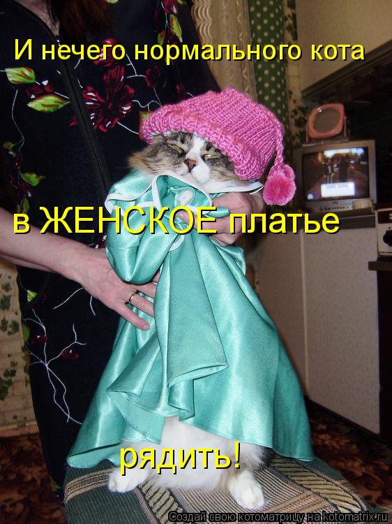 И нечего нормального кота в ЖЕНСКОЕ платье рядить!... Котоматрица: И нечего нормального кота в ЖЕНСКОЕ платье рядить!
