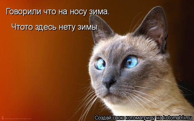 Говорили что на носу зима. Чтото здесь нету зимы... Котоматрица: Говорили что на носу зима. Чтото здесь нету зимы