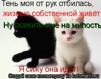 Тень моя от рук отбилась, жизнью собственной живёт Ну скажите мне на милость! Я сижу она идёт!... Котоматрица: Тень моя от рук отбилась, жизнью собственной живёт Ну скажите мне на милость! Я сижу она идёт!