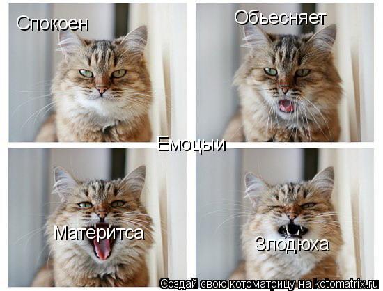 Емоцыи Спокоен Обьесняет Материтса Злодюха... Котоматрица: Емоцыи Спокоен Обьесняет Материтса Злодюха
