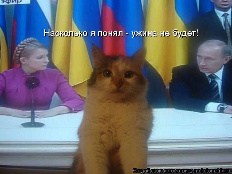 Насколько я понял - ужина не будет!... Котоматрица: Насколько я понял - ужина не будет!