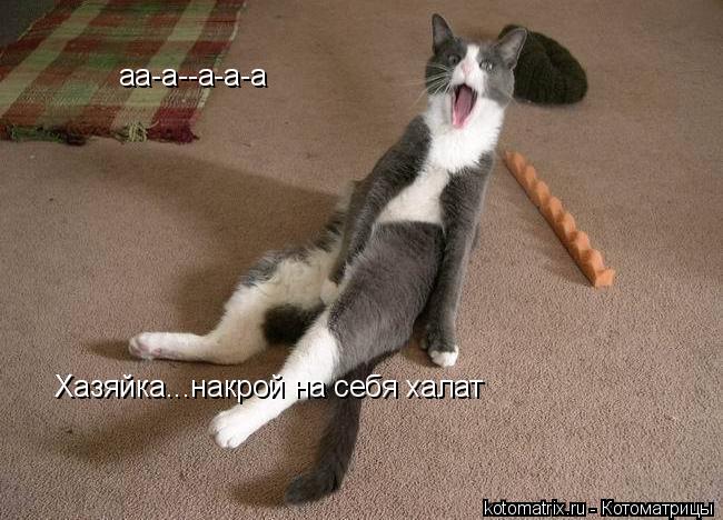 аа-а--а-а-а Хазяйка...накрой на себя халат... Котоматрица: аа-а--а-а-а Хазяйка...накрой на себя халат