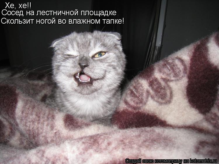 Хе, хе!! Сосед на лестничной площадке Скользит ногой во влажном тапке!... Котоматрица: Хе, хе!! Сосед на лестничной площадке Скользит ногой во влажном тапке!