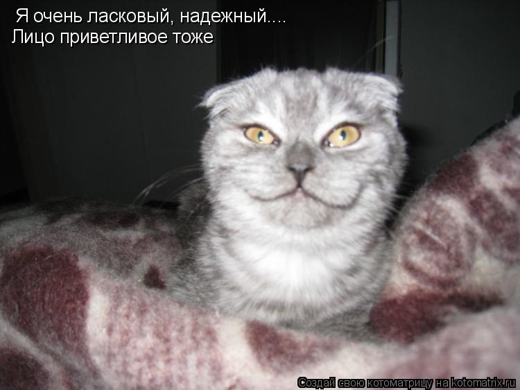 Я очень ласковый, надежный.... Лицо приветливое тоже... Котоматрица: Я очень ласковый, надежный.... Лицо приветливое тоже