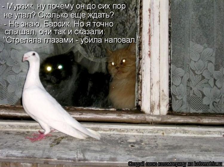 - Мурзик, ну почему он до сих пор не упал? Сколько еще ждать? - Не знаю, Барсик. Но я точно слышал, ... Котоматрица: - Мурзик, ну почему он до сих пор не упал? Сколько еще ждать? - Не знаю, Барсик. Но я точно слышал, они так и сказали: "Стреляла глазами - убила на