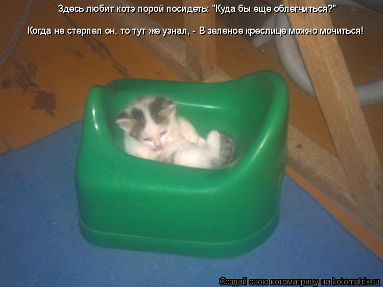 Здесь любит котэ порой посидеть: "Куда бы еще облегчиться?" Когда не стерпел он, то тут же узнал, - В... Котоматрица: Здесь любит котэ порой посидеть: "Куда бы еще облегчиться?" Когда не стерпел он, то тут же узнал, - В зеленое креслице можно мочиться! Когда не