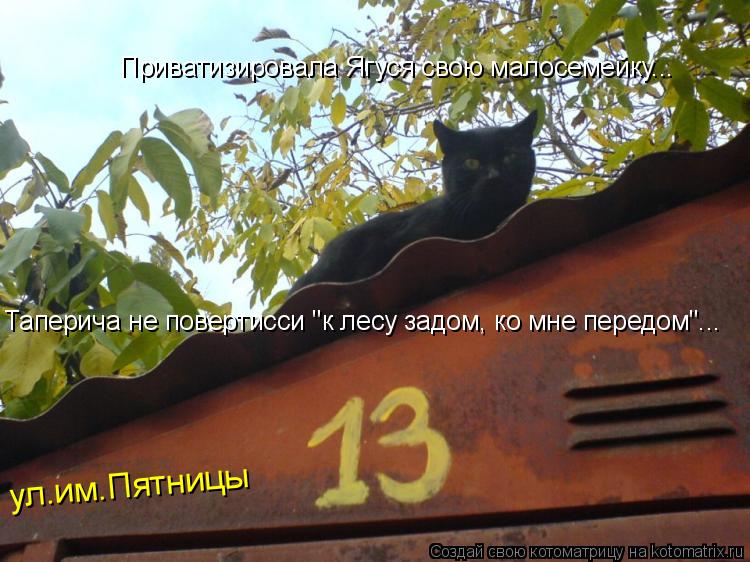 ул.им.Пятницы№ Приватизировала Ягуся свою малосемейку... Таперича не повертисси "к лесу задом, ко мне... Котоматрица: ул.им.Пятницы№ Приватизировала Ягуся свою малосемейку... Таперича не повертисси "к лесу задом, ко мне передом"...
