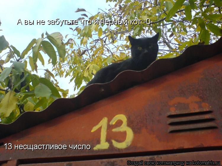 13 несщастливое число А вы не забутьте что я чёрный кот -0-... Котоматрица: 13 несщастливое число А вы не забутьте что я чёрный кот -0-