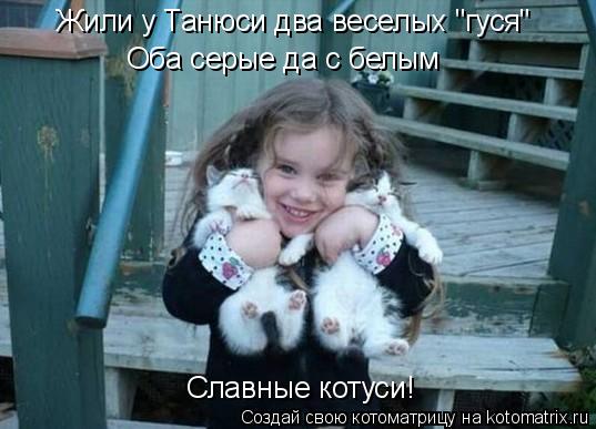 Жили у Танюси два веселых "гуся" Оба серые да с белым Славные котуси!... Котоматрица: Жили у Танюси два веселых "гуся" Оба серые да с белым Славные котуси!