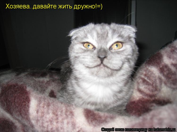 Хозяева..давайте жить дружно!=)... Котоматрица: Хозяева..давайте жить дружно!=)