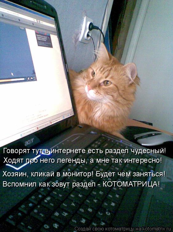 Говорят тут в интернете есть раздел чудесный! Ходят про него легенды, а мне так интересно! Хозяин, кл... Котоматрица: Говорят тут в интернете есть раздел чудесный! Ходят про него легенды, а мне так интересно! Хозяин, кликай в монитор! Будет чем заняться! Вспо