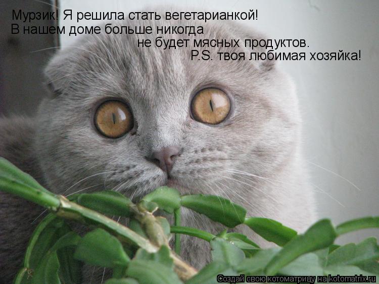 Мурзик! Я решила стать вегетарианкой! В нашем доме больше никогда не будет мясных продуктов. P.S. тво... Котоматрица: Мурзик! Я решила стать вегетарианкой! В нашем доме больше никогда не будет мясных продуктов. P.S. твоя любимая хозяйка!