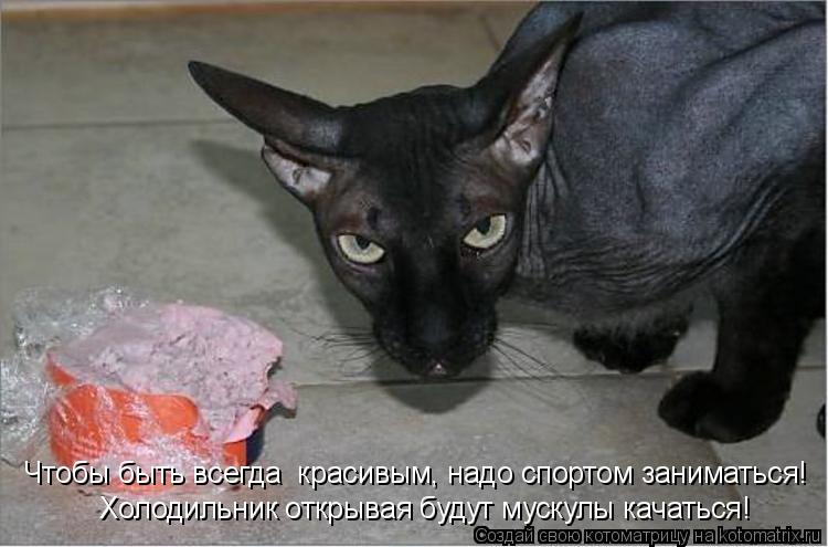 Чтобы быть всегда красивым, надо спортом заниматься! Холодильник открывая будут мускулы качаться!... Котоматрица: Чтобы быть всегда красивым, надо спортом заниматься! Холодильник открывая будут мускулы качаться!
