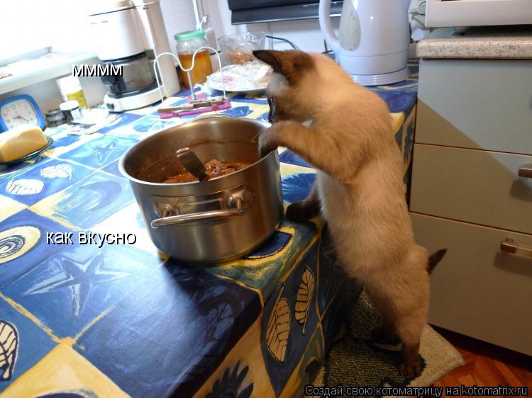 мммм как вкусно... Котоматрица: мммм как вкусно
