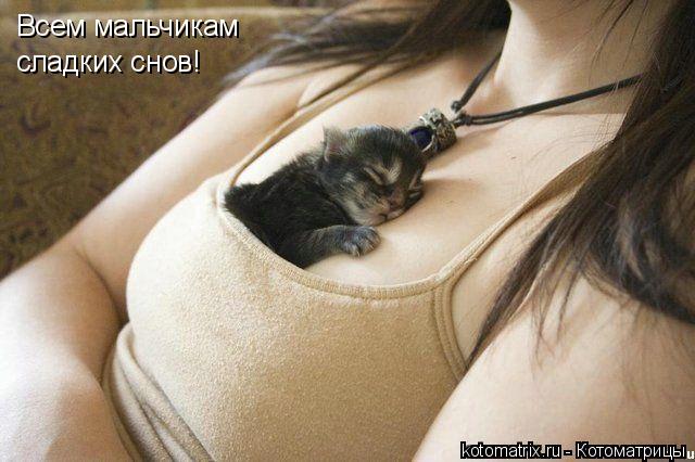 Всем мальчикам сладких снов!... Котоматрица: Всем мальчикам сладких снов!
