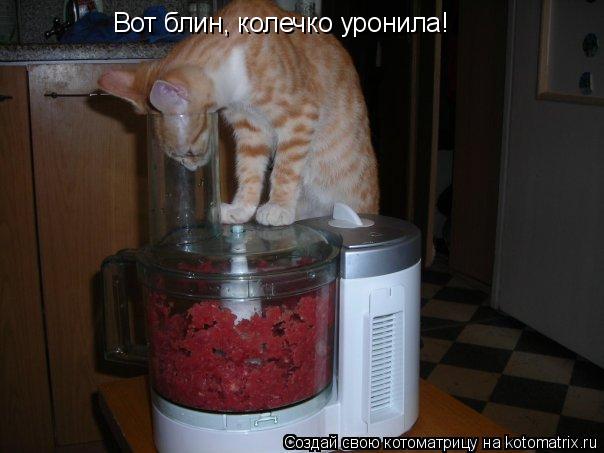 Вот блин, колечко уронила!... Котоматрица: Вот блин, колечко уронила!