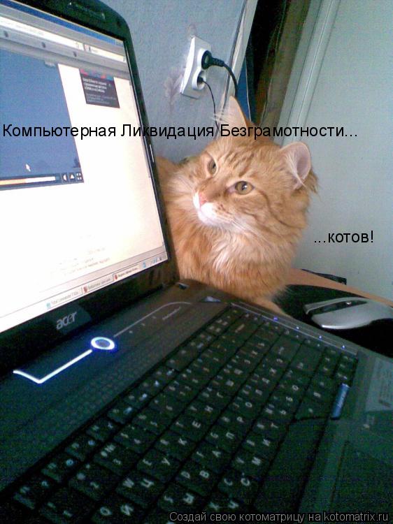 Компьютерная Ликвидация Безграмотности... ...котов!... Котоматрица: Компьютерная Ликвидация Безграмотности... ...котов!