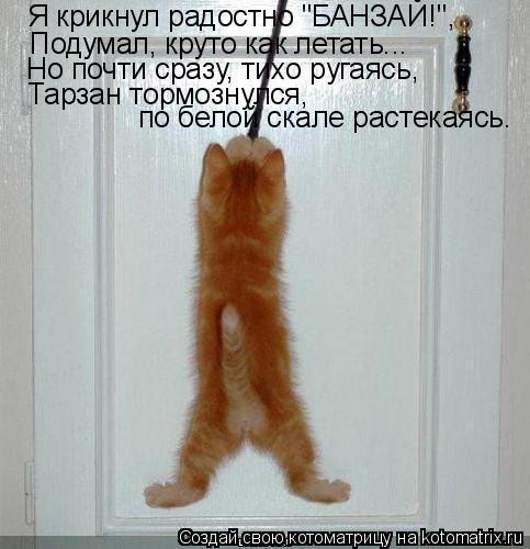 Я крикнул радостно "БАНЗАЙ!", Подумал, круто как летать... Но почти сразу, тихо ругаясь, Тарзан тормо... Котоматрица: Я крикнул радостно "БАНЗАЙ!", Подумал, круто как летать... Но почти сразу, тихо ругаясь, Тарзан тормознулся, по белой скале растекаясь.