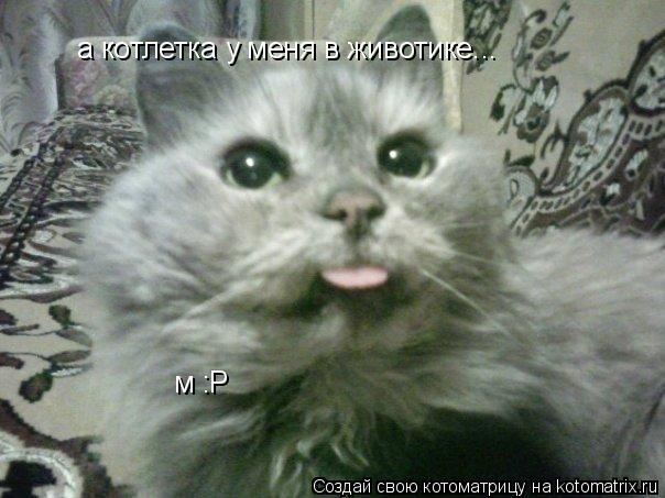 а котлетка у меня в животике... м :P... Котоматрица: а котлетка у меня в животике... м :P