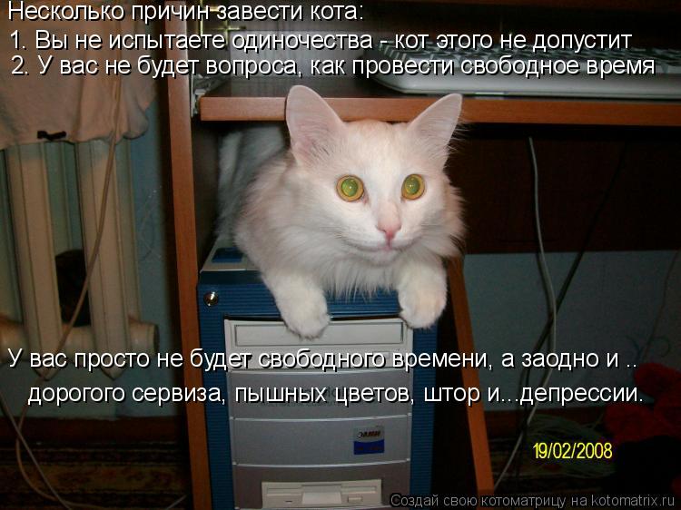 1. Вы не испытаете одиночества - кот этого не допустит 2. У вас не будет вопроса, как провести свобод... Котоматрица: 1. Вы не испытаете одиночества - кот этого не допустит 2. У вас не будет вопроса, как провести свободное время У вас просто не будет свободного