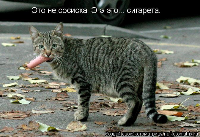 Это не сосиска. Э-э-это... сигарета.... Котоматрица: Это не сосиска. Э-э-это... сигарета.