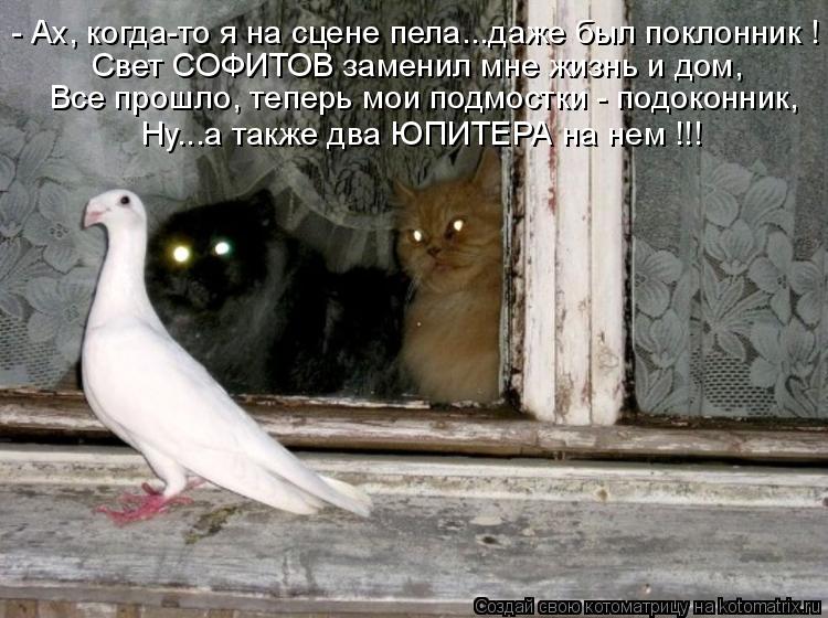 - Ах, когда-то я на сцене пела...даже был поклонник ! Все прошло, теперь мои подмостки - подоконник, ... Котоматрица: - Ах, когда-то я на сцене пела...даже был поклонник ! Все прошло, теперь мои подмостки - подоконник, Ну...а также два ЮПИТЕРА на нем !!! Свет СОФИТО
