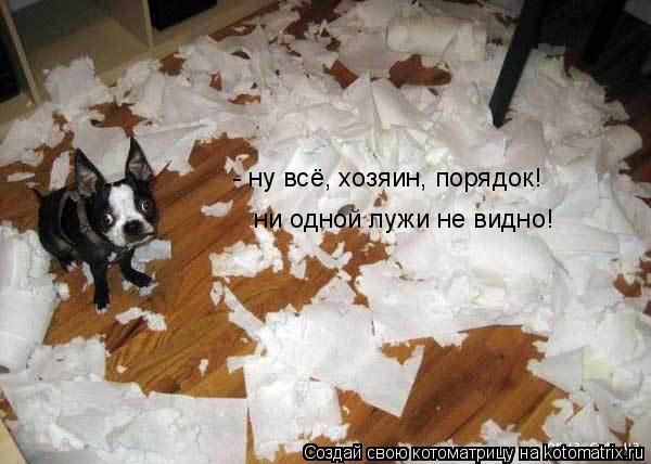 - ну всё, хозяин, порядок! ни одной лужи не видно!... Котоматрица: - ну всё, хозяин, порядок! ни одной лужи не видно!