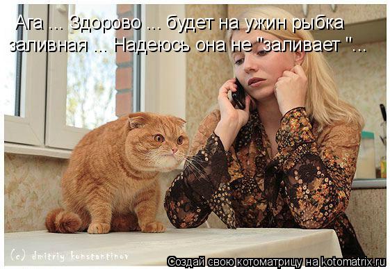 Ага ... Здорово ... будет на ужин рыбка заливная ... Надеюсь она не "заливает "...... Котоматрица: Ага ... Здорово ... будет на ужин рыбка заливная ... Надеюсь она не "заливает "...