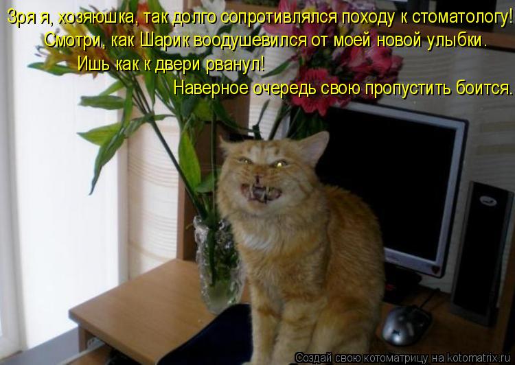 Зря я, хозяюшка, так долго сопротивлялся походу к стоматологу! Смотри, как Шарик воодушевился от моей... Котоматрица: Зря я, хозяюшка, так долго сопротивлялся походу к стоматологу! Смотри, как Шарик воодушевился от моей новой улыбки. Ишь как к двери рванул! Н
