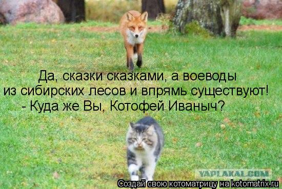 - Куда же Вы, Котофей Иваныч? из сибирских лесов и впрямь существуют! Да, сказки сказками, а воеводы... Котоматрица: - Куда же Вы, Котофей Иваныч? из сибирских лесов и впрямь существуют! Да, сказки сказками, а воеводы