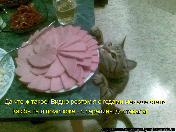 Да что ж такое! Видно ростом я с годами меньше стала. Как была я помоложе - с середины доставала!... Котоматрица: Да что ж такое! Видно ростом я с годами меньше стала. Как была я помоложе - с середины доставала!