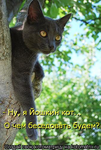 - Ну, я Йошкин кот... - Ну, я Йошкин кот... О чем беседовать будем? О чем беседовать будем?... Котоматрица: - Ну, я Йошкин кот... - Ну, я Йошкин кот... О чем беседовать будем? О чем беседовать будем?