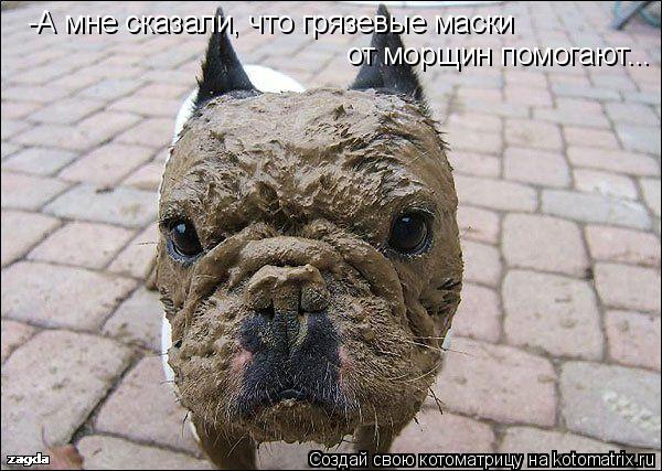 -А мне сказали, что грязевые маски от морщин помогают...... Котоматрица: -А мне сказали, что грязевые маски от морщин помогают...