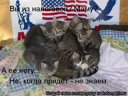 Вы из налоговой? Маму? А ее нету... Не, когда придет - не знаем.... Котоматрица: Вы из налоговой? Маму? А ее нету... Не, когда придет - не знаем.