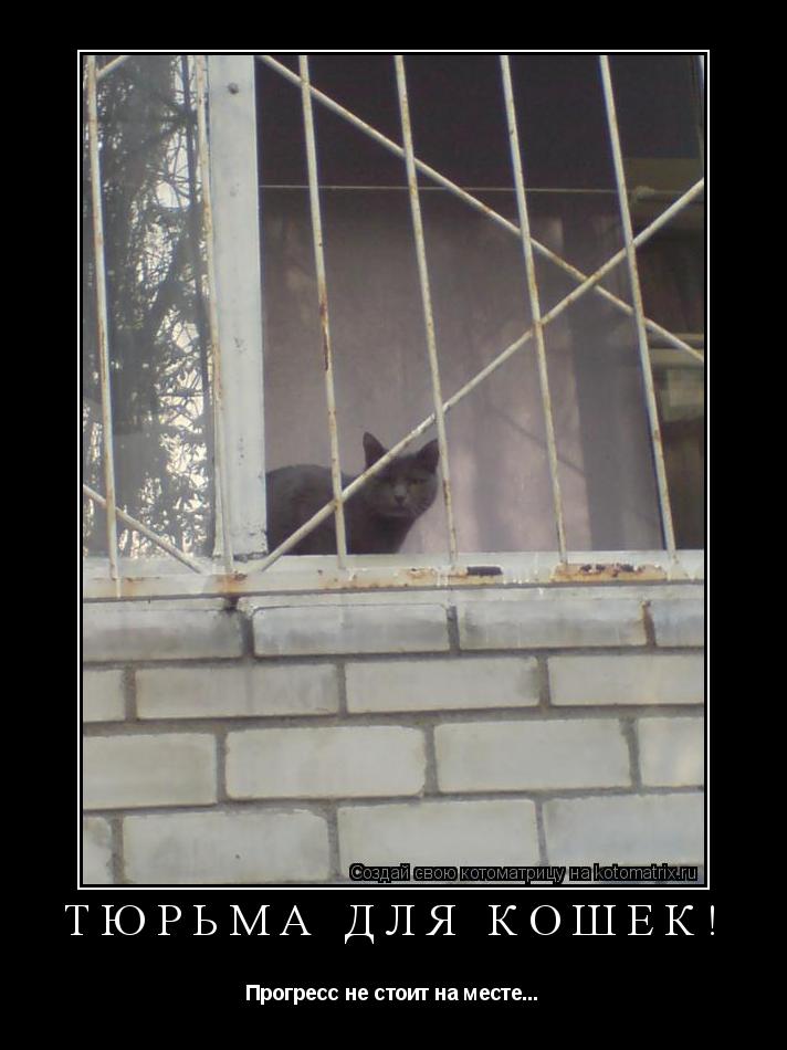 Тюрьма для кошек! Прогресс не стоит на месте...... Котоматрица: Тюрьма для кошек! Прогресс не стоит на месте...